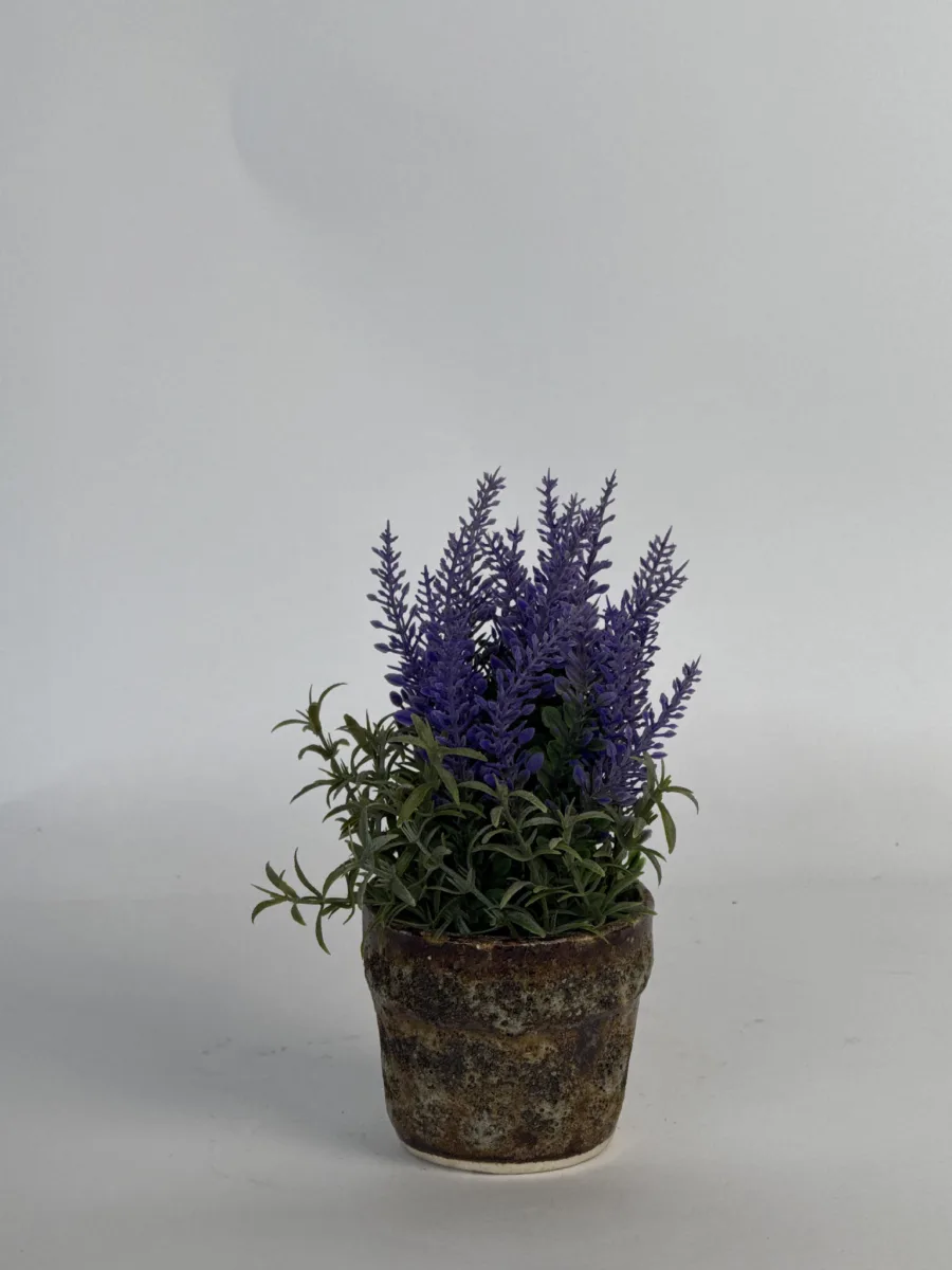 Classic Ceramic Planter — 2.5" Dia × 3" Height — Primary View