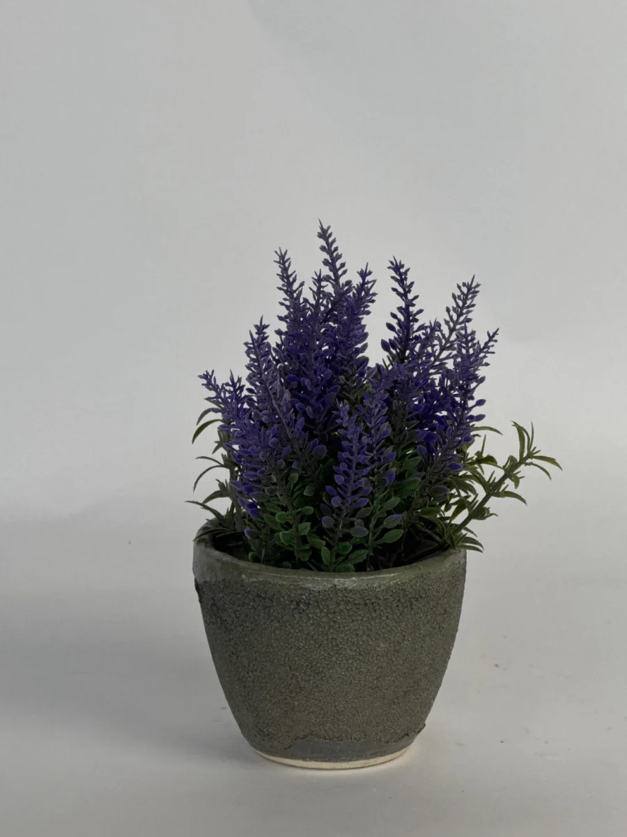 Classic Ceramic Planter — 2.5" Dia × 3" Height — Primary View