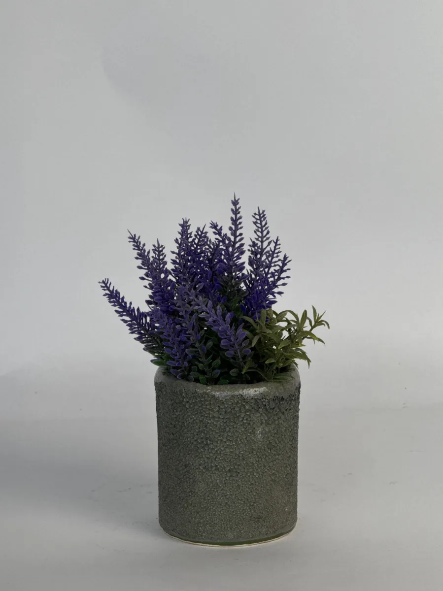 Classic Ceramic Planter — 2.5" Dia × 3" Height — Primary View
