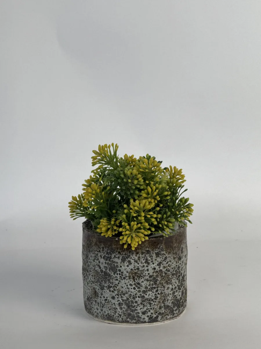 Classic Ceramic Planter — 6.5" Dia × 7.5" Height — Primary View