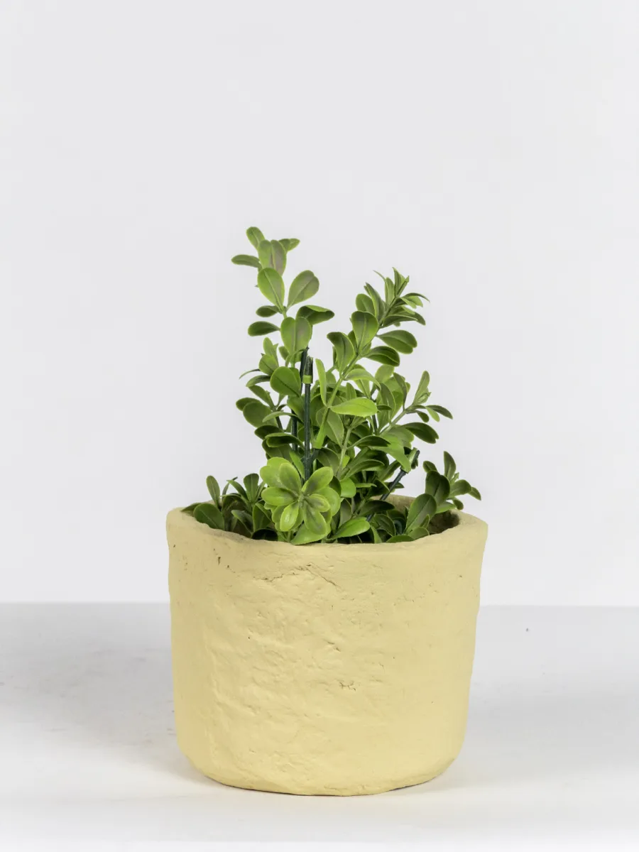 Classic Ceramic Planter — 4" Dia × 3.5" Height — Primary View