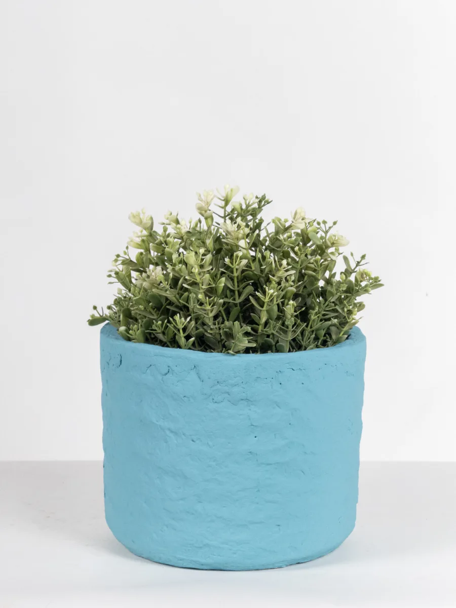 Classic Ceramic Planter — 6.5" Dia × 6.5" Height — Primary View