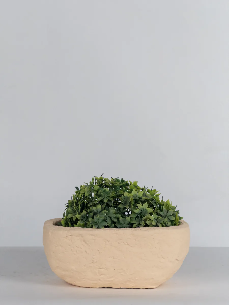 Classic Ceramic Planter — 7" Dia × 5.5" Height — Primary View