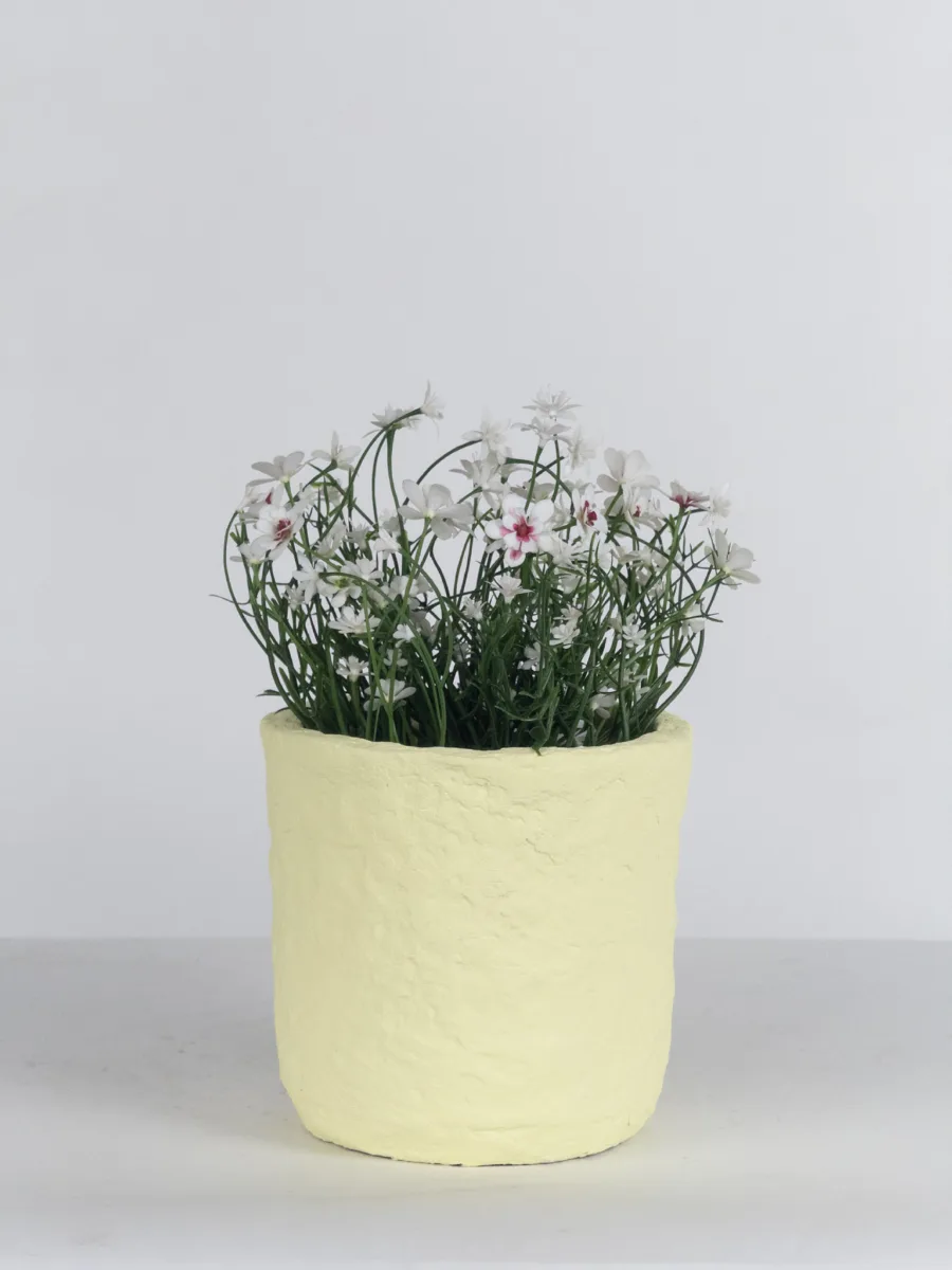 Classic Ceramic Planter — 7" Dia × 5.5" Height — Primary View