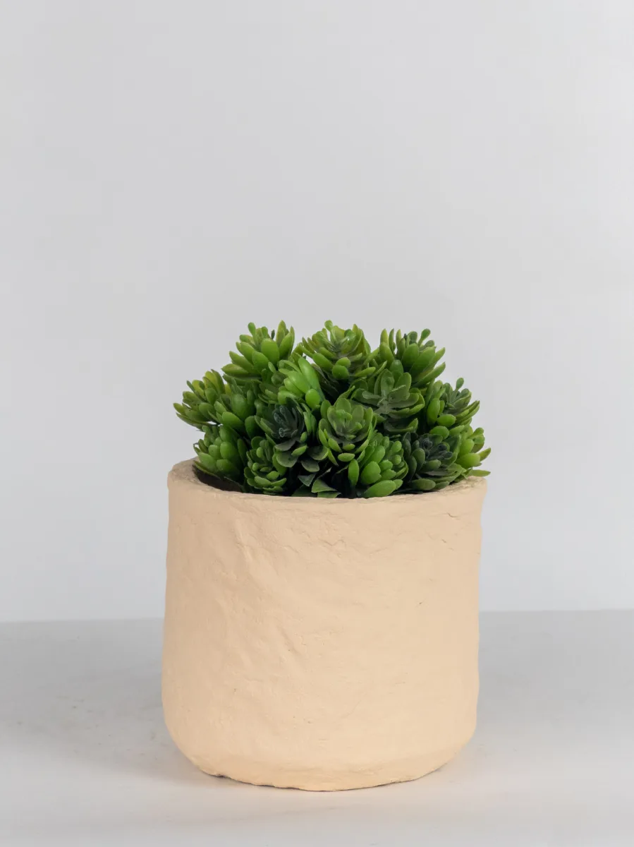 Classic Ceramic Planter — 7" Dia × 6" Height — Primary View