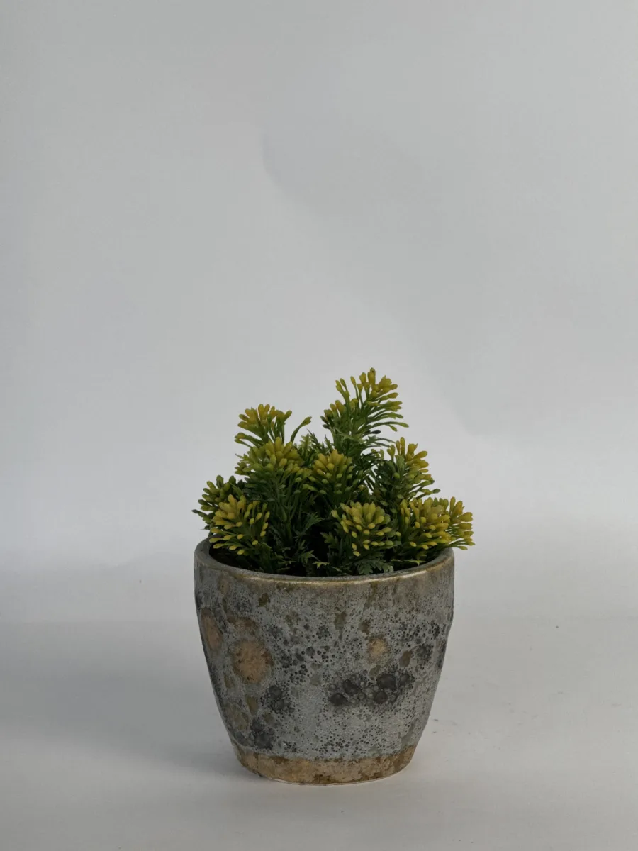 Classic Ceramic Planter — 7" Dia × 6" Height — Primary View