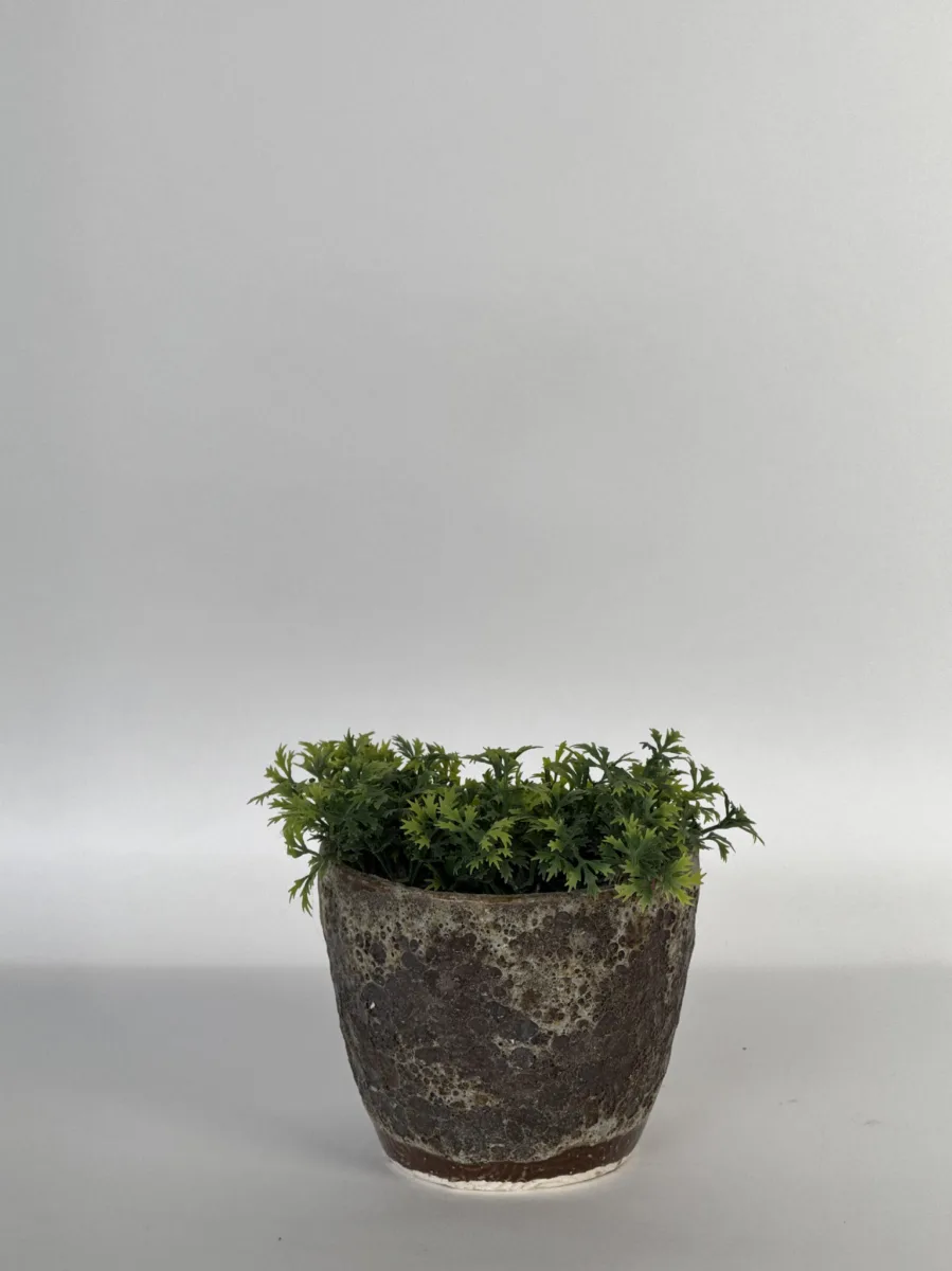 Classic Ceramic Planter — 7" Dia × 5.5" Height — Primary View