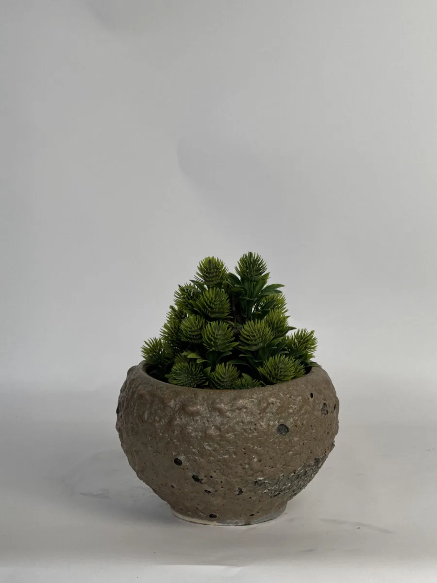 Classic Ceramic Planter — 8" Dia × 3.5" Height — Primary View