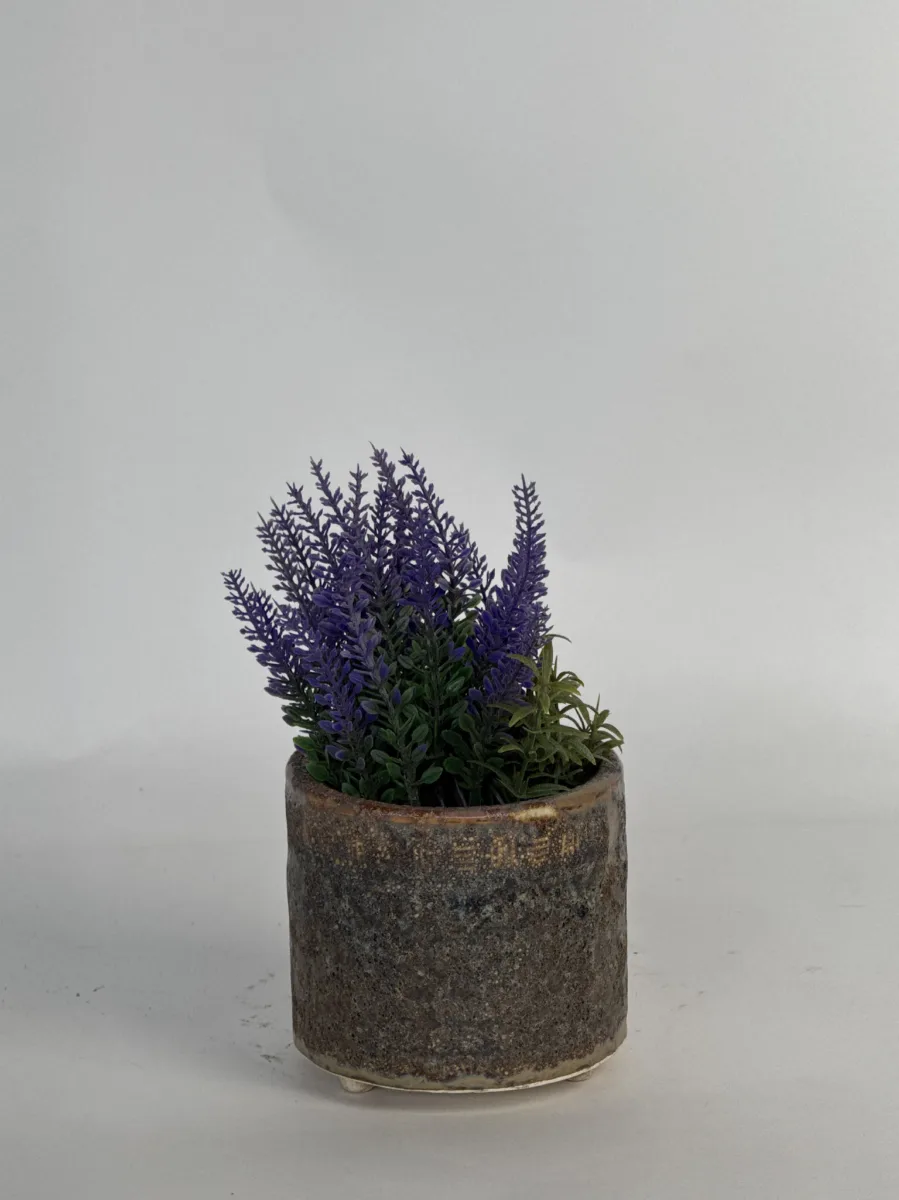 Classic Ceramic Planter — 8" Dia × 3.5" Height — Primary View