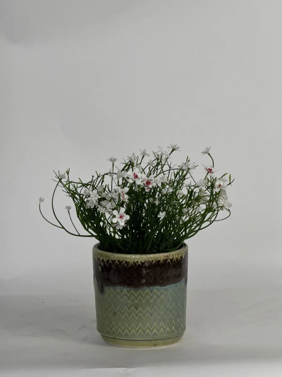 Classic Ceramic Planter — 5" Dia × 4.5" Height — Primary View