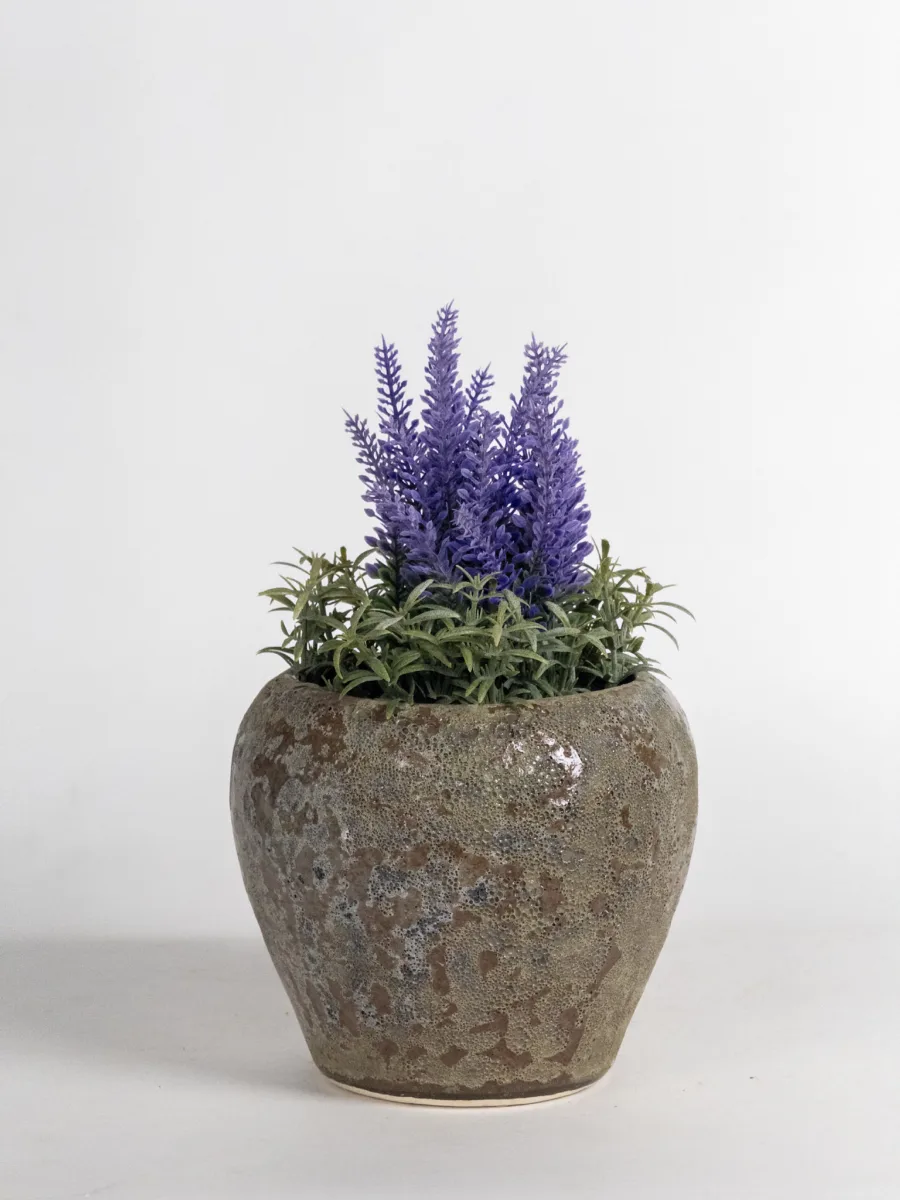 Classic Ceramic Planter — 4.5" Dia × 4" Height — Primary View