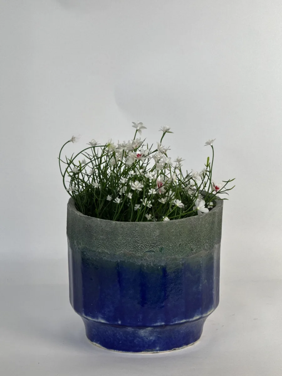 Classic Ceramic Planter — 4" Dia × 4" Height — Primary View