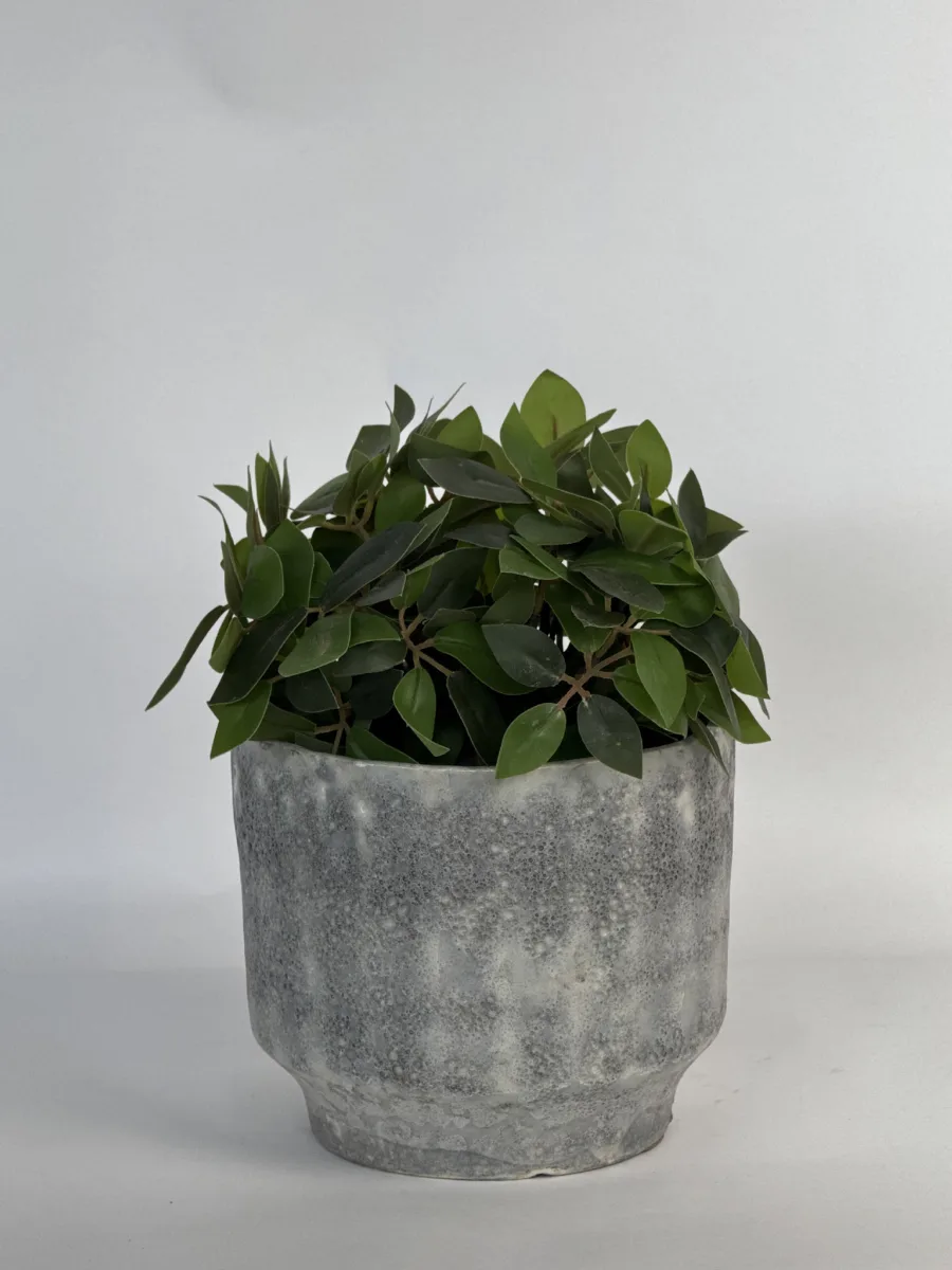 Classic Ceramic Planter — 4" Dia × 4" Height — Primary View