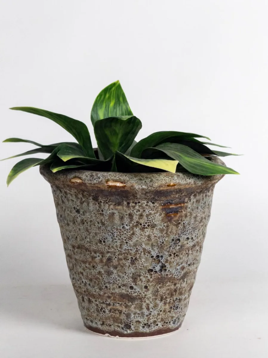Classic Ceramic Planter — 7" Dia × 6" Height — Primary View
