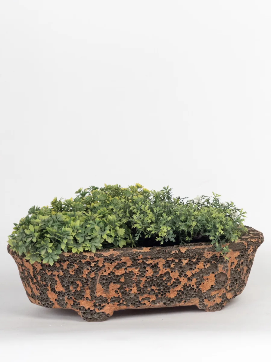 Classic Ceramic Planter — 6" Dia × 9" Height — Primary View