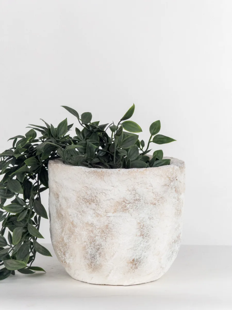 Classic Ceramic Planter — 15" Dia × 4" Height — Primary View