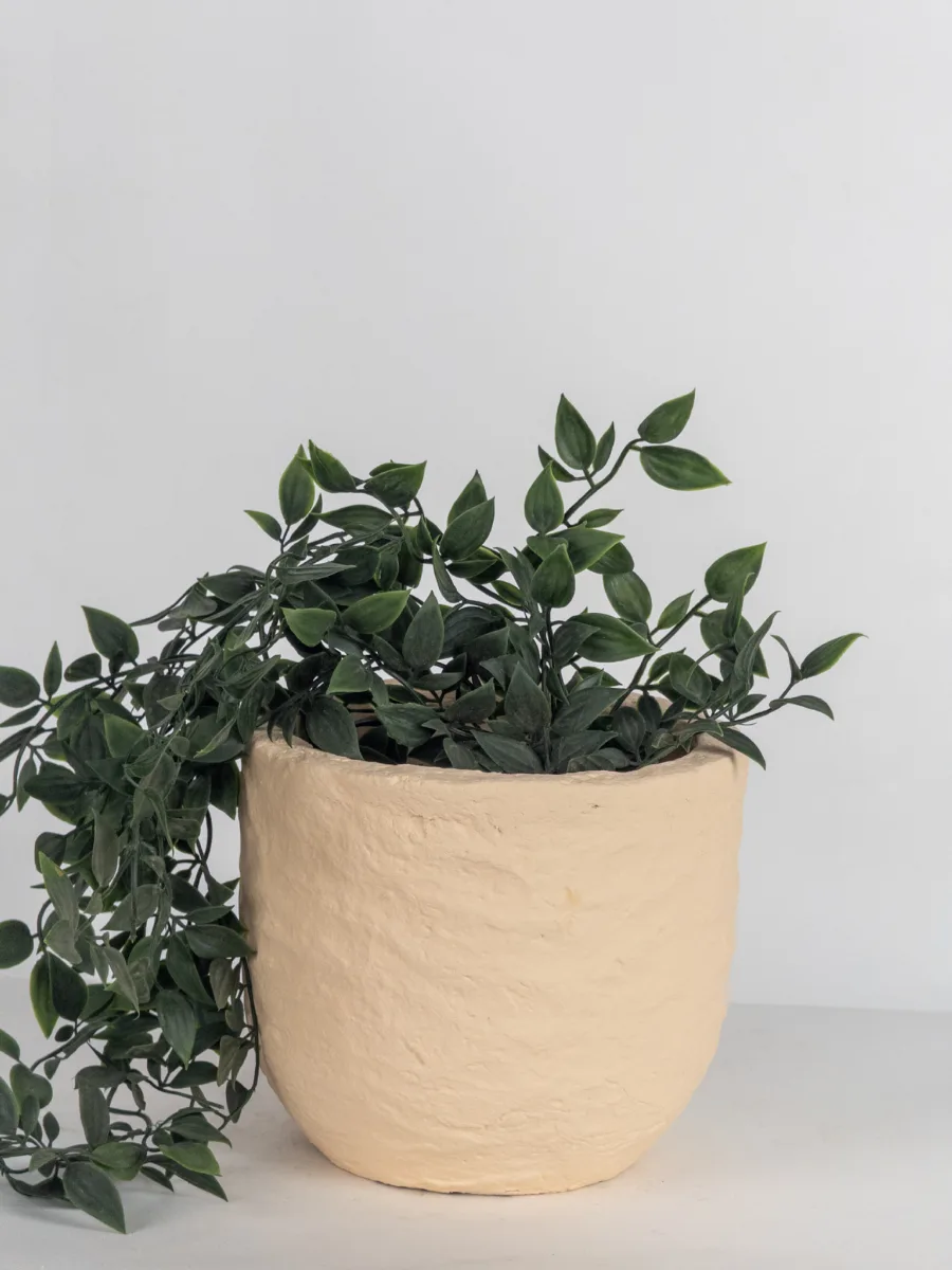 Classic Ceramic Planter — 17" Dia × 4" Height — Primary View