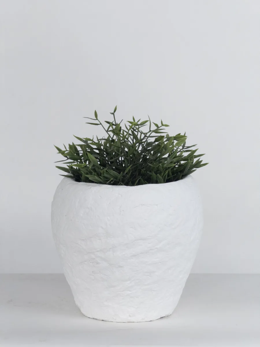 Classic Ceramic Planter — 5" Dia × 5" Height — Primary View