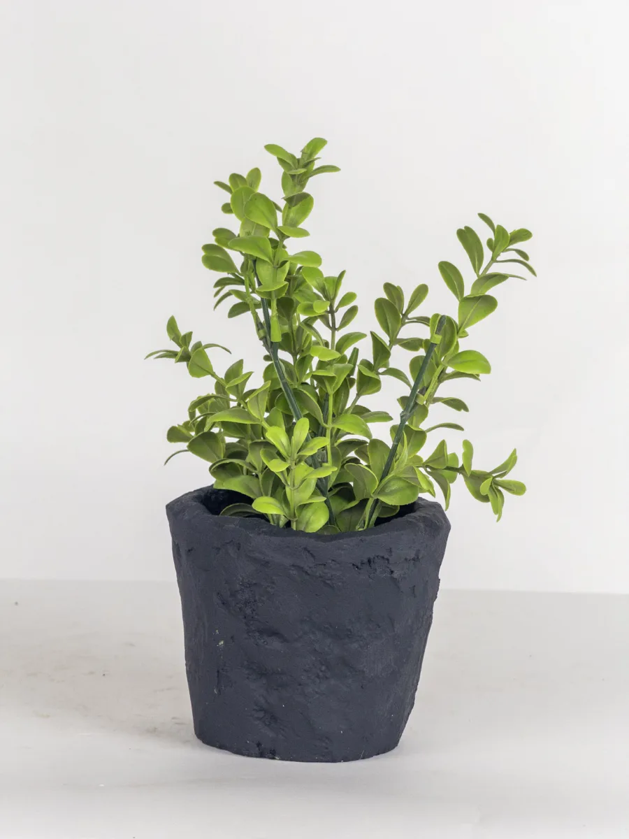 Classic Ceramic Planter — 7" Dia × 6.5" Height — Primary View
