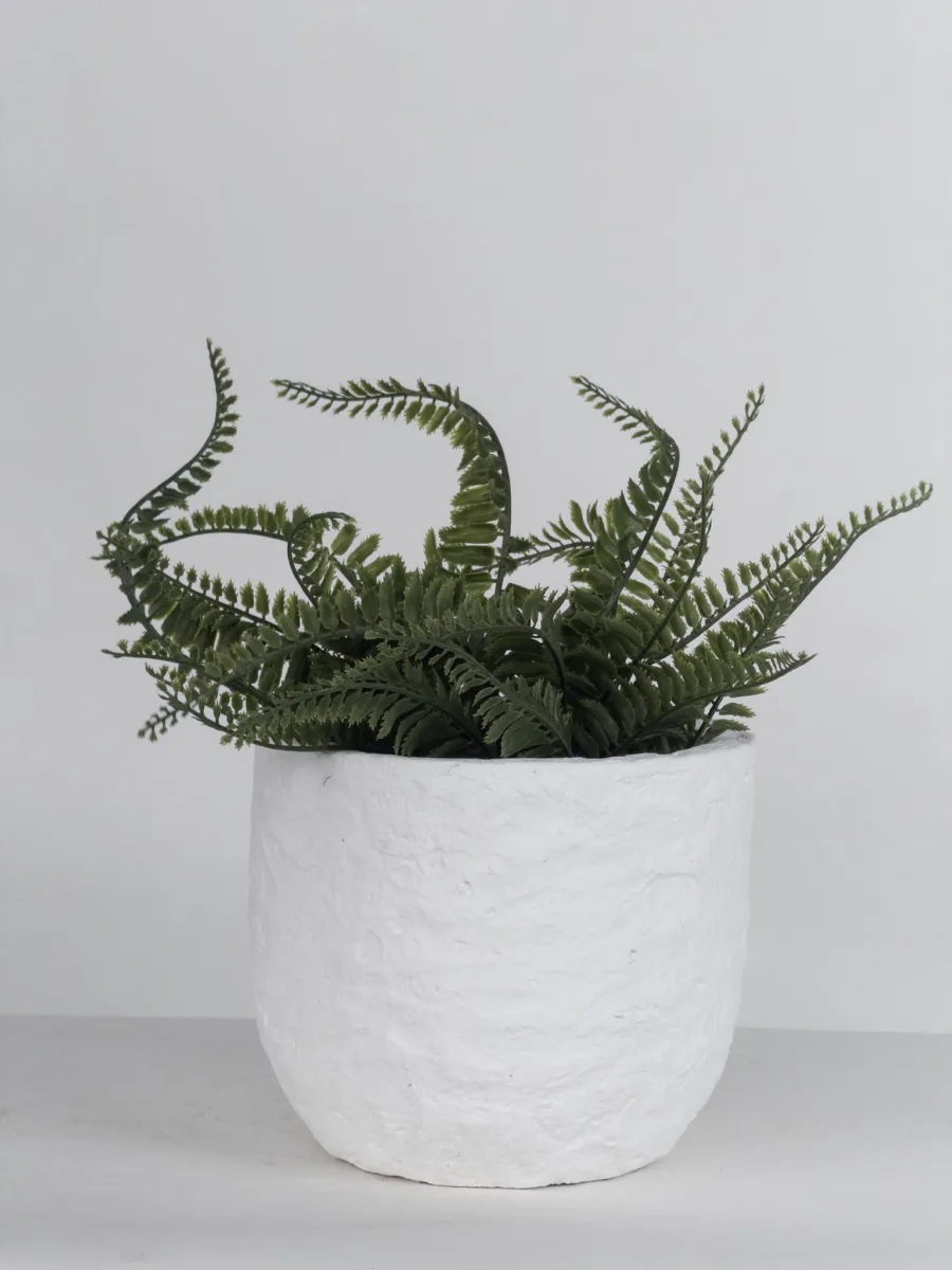 Classic Ceramic Planter — 8" Dia × 8" Height — Primary View