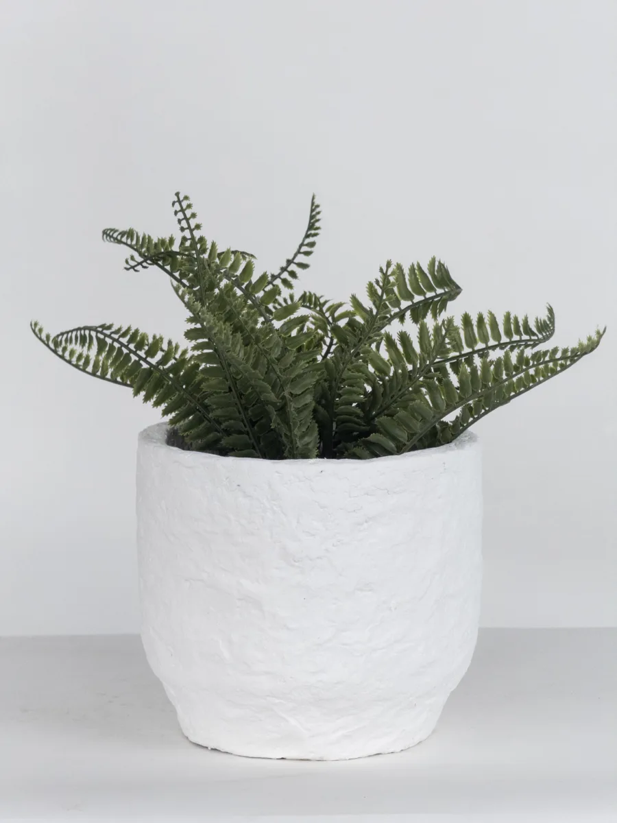 Classic Ceramic Planter — 5" Dia × 3.5" Height — Primary View