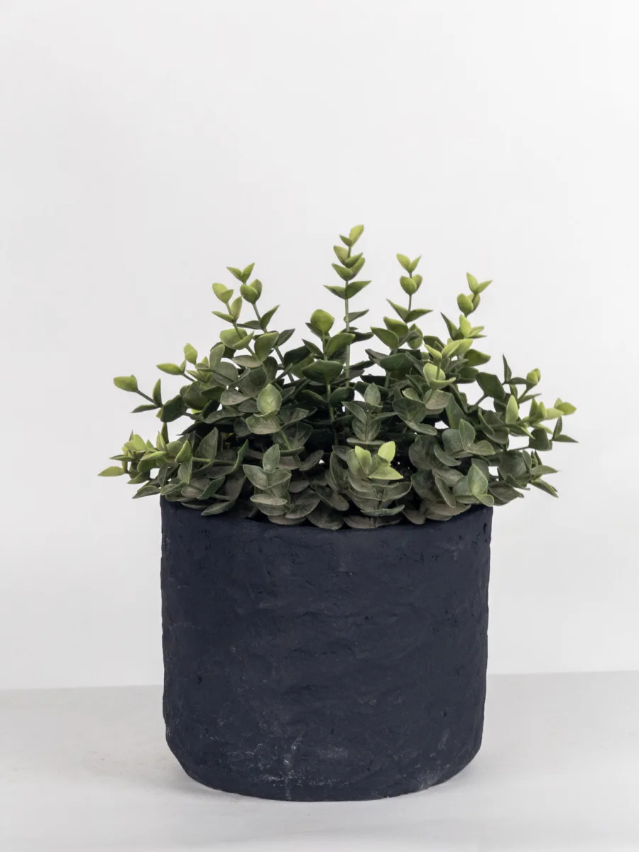 Classic Ceramic Planter — 5" Dia × 4.5" Height — Primary View