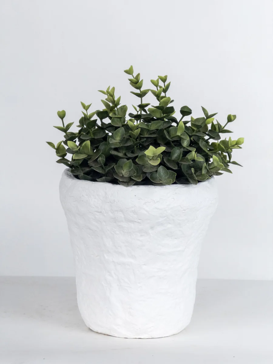 Classic Ceramic Planter — 5" Dia × 4.5" Height — Primary View