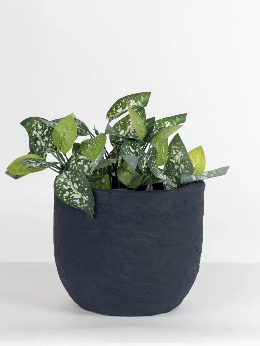 Classic Ceramic Planter — 5" Dia × 5.5" Height — Primary View