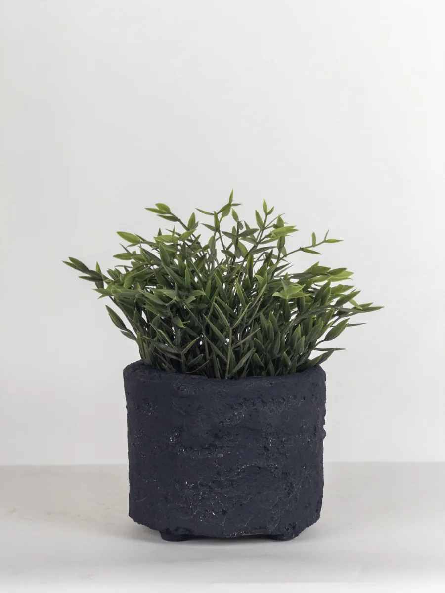 Classic Ceramic Planter — 5.5" Dia × 10" Height — Primary View