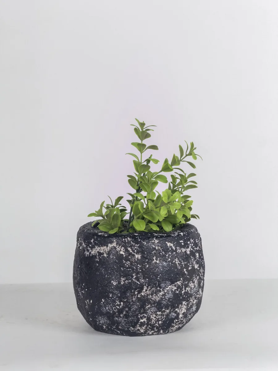 Classic Ceramic Planter — 6.5" Dia × 10" Height — Primary View