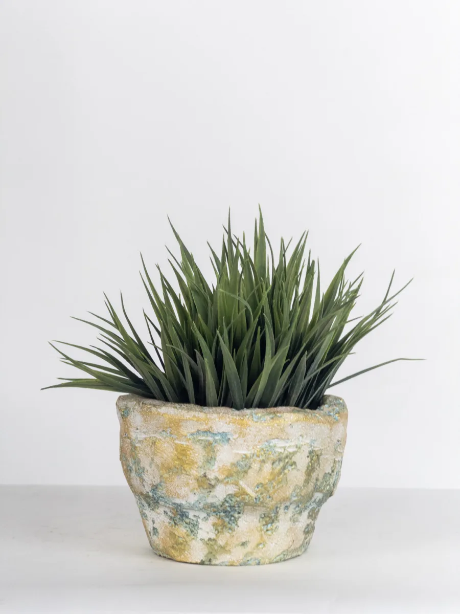 Classic Ceramic Planter — 5.5" Dia × 3" Height — Primary View