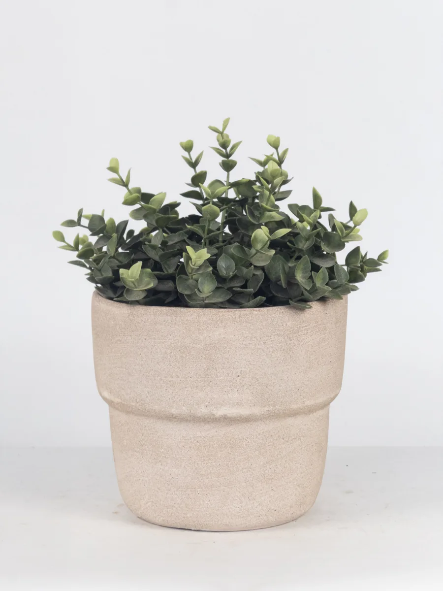 Classic Ceramic Planter — 5" Dia × 4" Height — Primary View