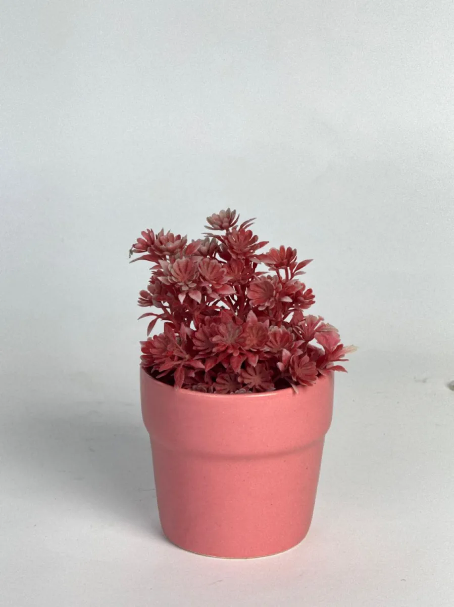 Classic Ceramic Planter — 7" Dia × 6" Height — Primary View