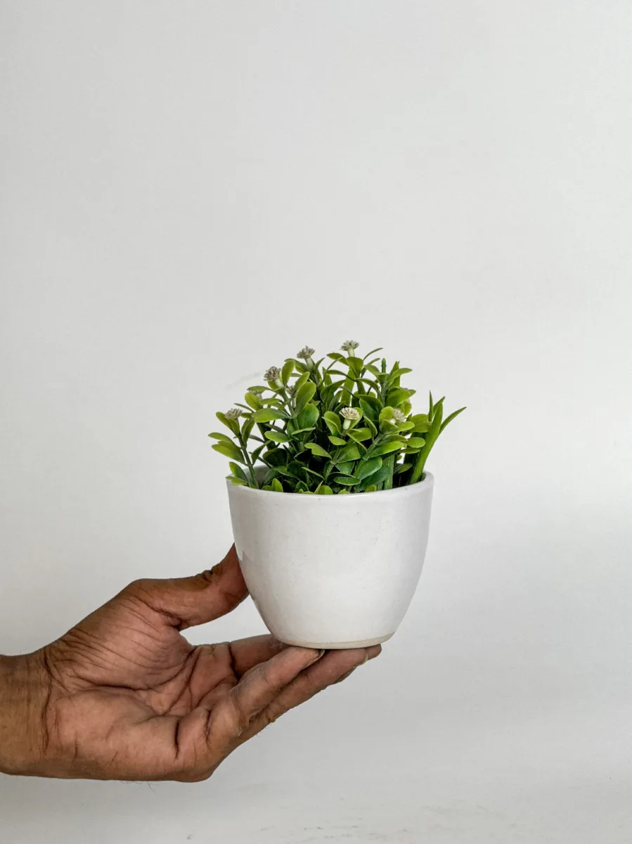 Classic Ceramic Planter — 6" Dia × 4" Height — Primary View