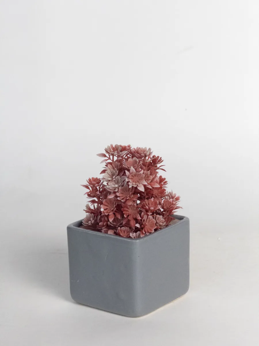 Classic Ceramic Planter — 6" Dia × 4" Height — Primary View