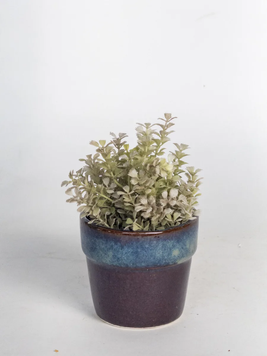 Classic Ceramic Planter — 5.5" Dia × 6.5" Height — Primary View