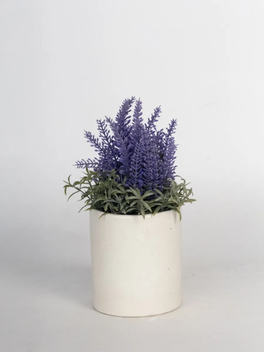 Classic Ceramic Planter — 8" Dia × 8" Height — Primary View