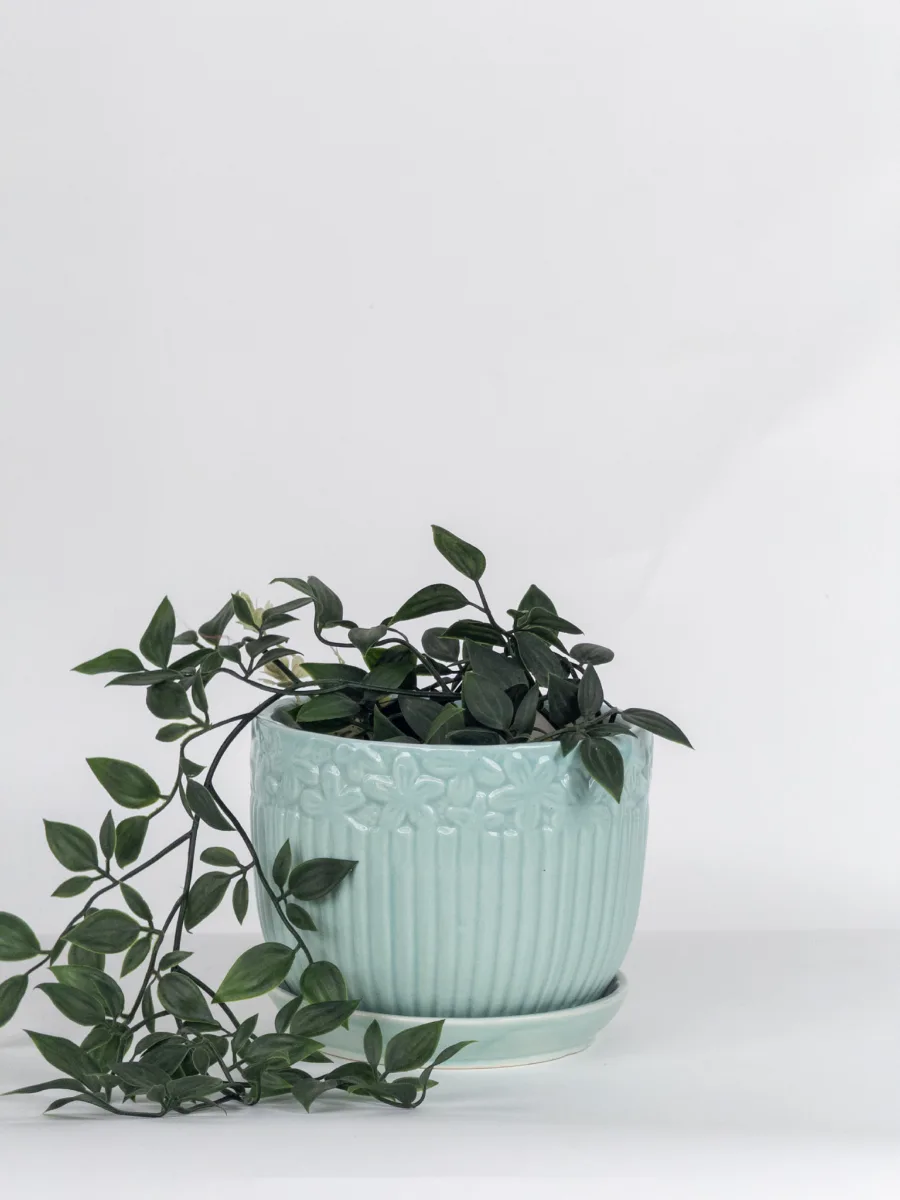 Classic Ceramic Planter — 3.4" Dia × 4" Height — Primary View