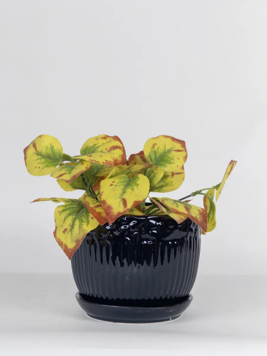 Classic Ceramic Planter — 3" Dia × 2" Height — Primary View
