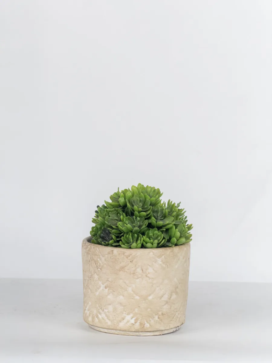 Classic Ceramic Planter — 3" Dia × 2" Height — Primary View