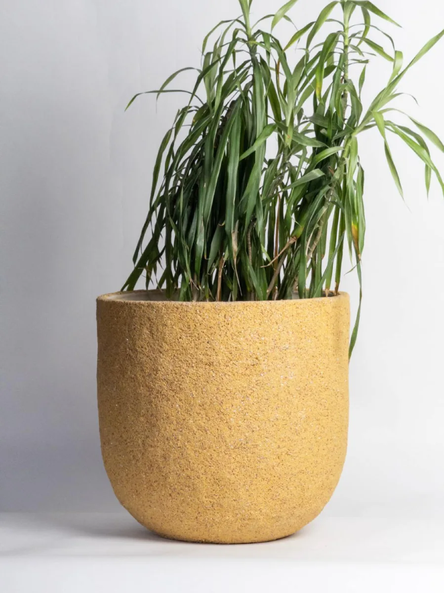 Classic Ceramic Planter — 6" Dia × 5" Height — Primary View
