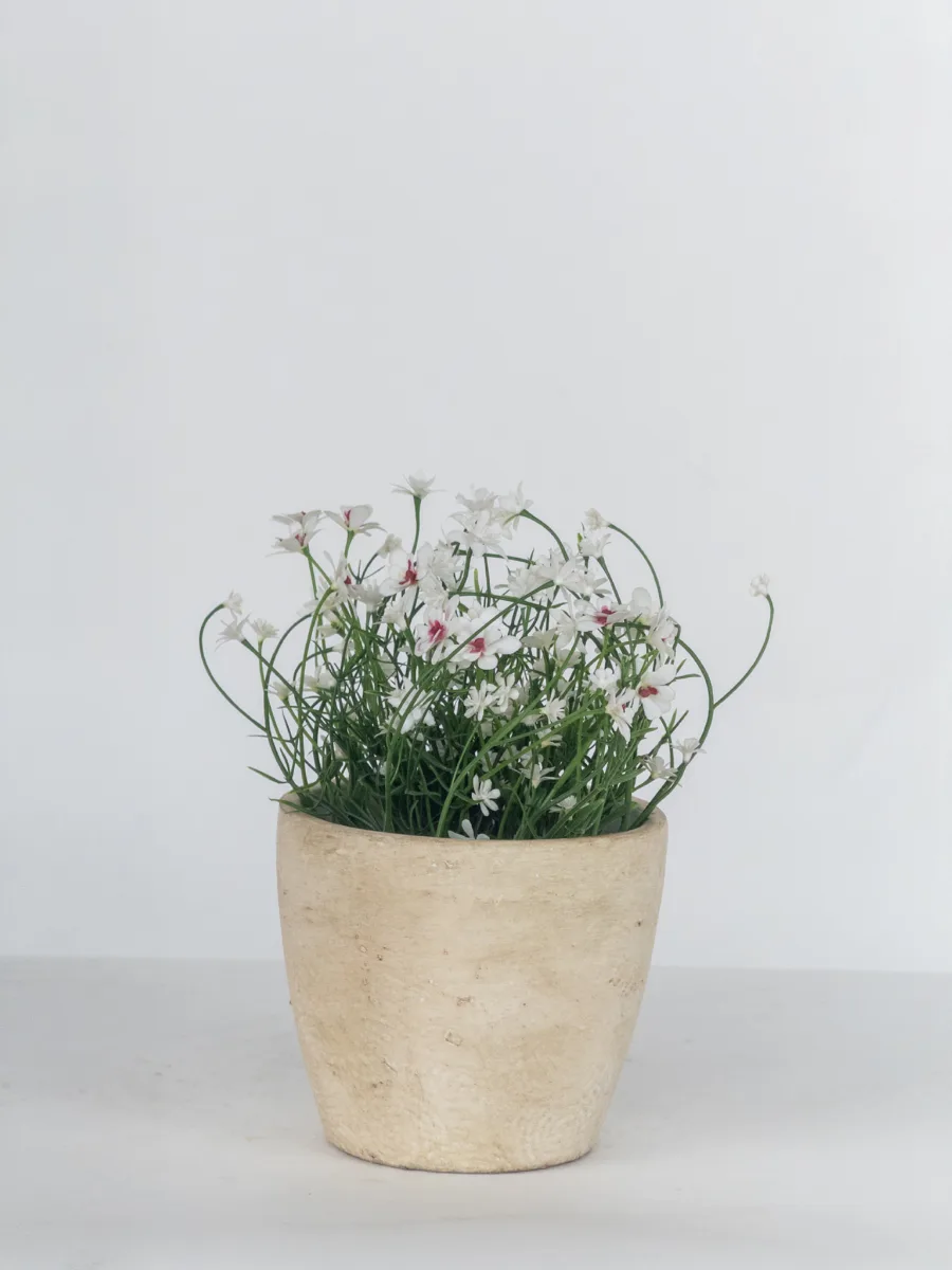 Classic Ceramic Planter — 11" Dia × 11" Height — Primary View