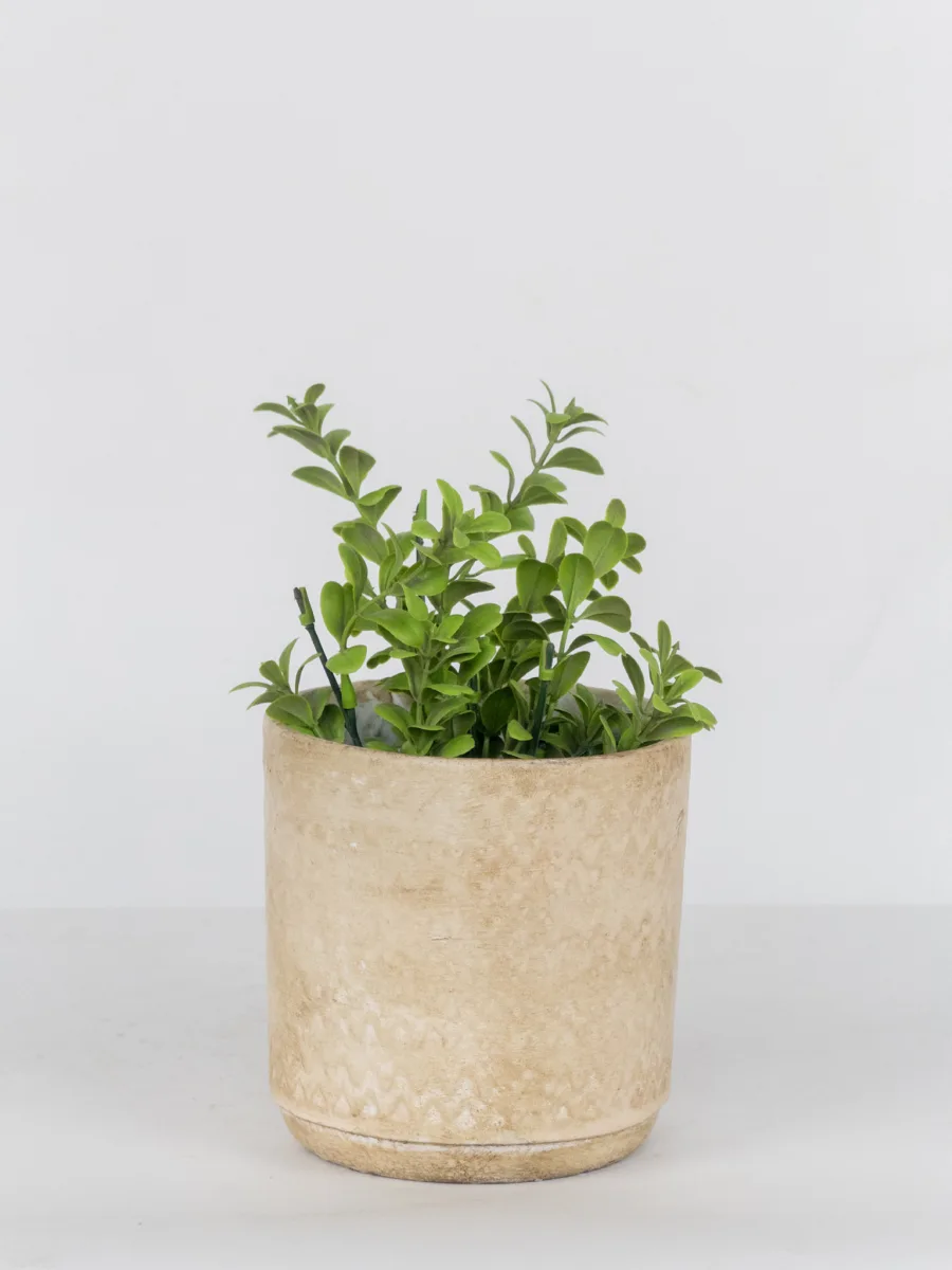 Classic Ceramic Planter — 10" Dia × 9.5" Height — Primary View