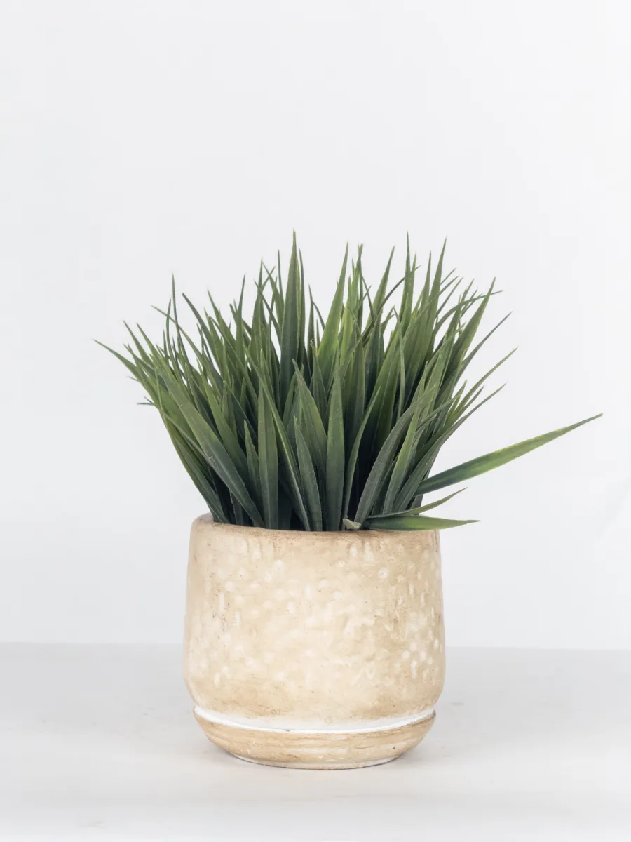 Classic Ceramic Planter — 8" Dia × 9" Height — Primary View