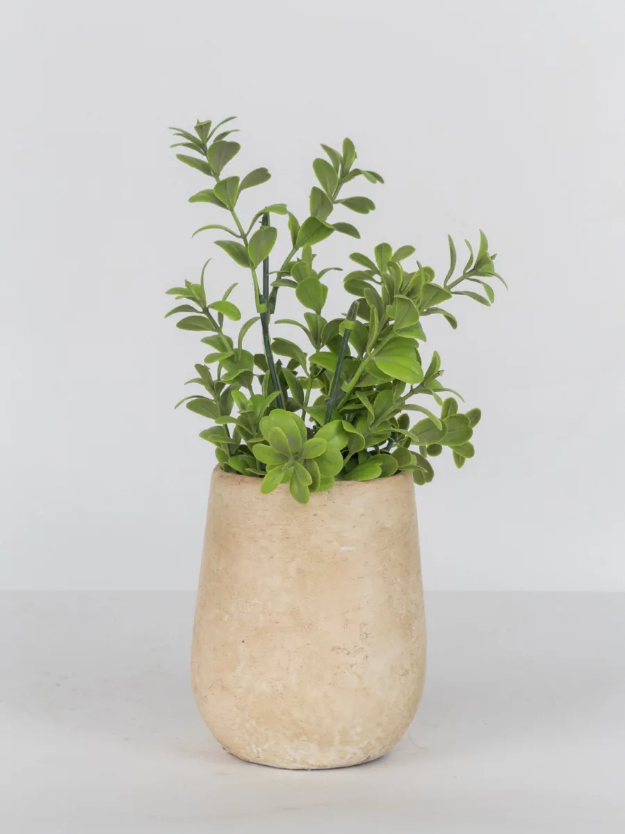 Classic Ceramic Planter — 8" Dia × 8.5" Height — Primary View