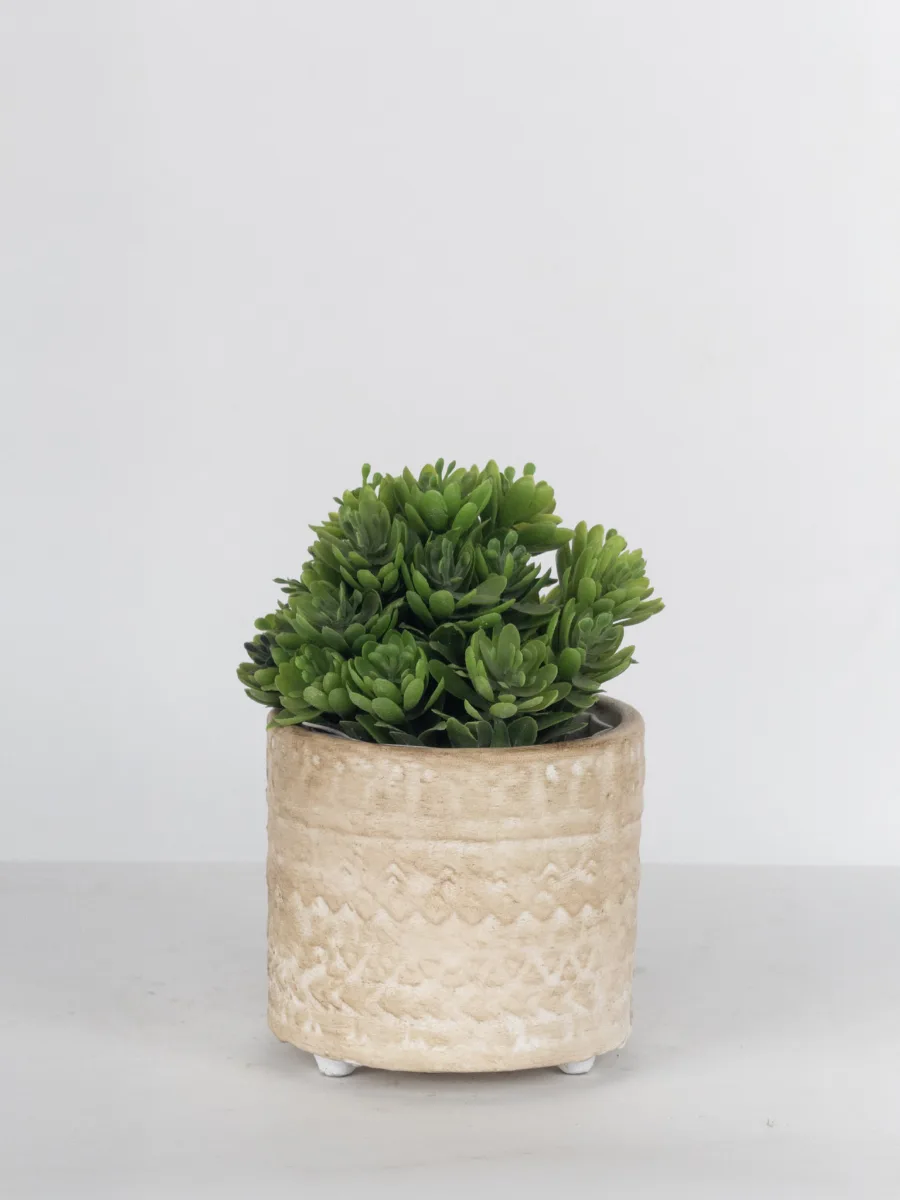 Classic Ceramic Planter — 8" Dia × 7" Height — Primary View