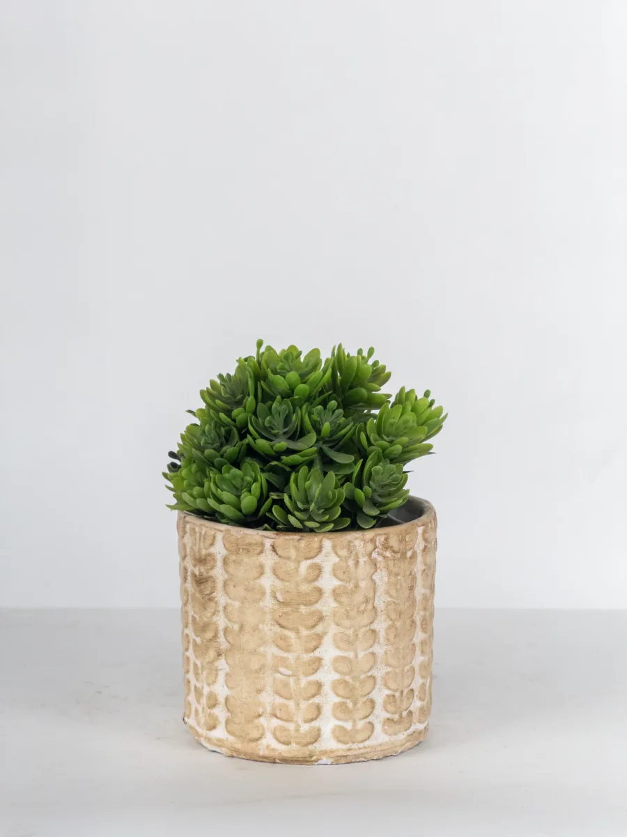 Classic Ceramic Planter — 8" Dia × 7" Height — Primary View