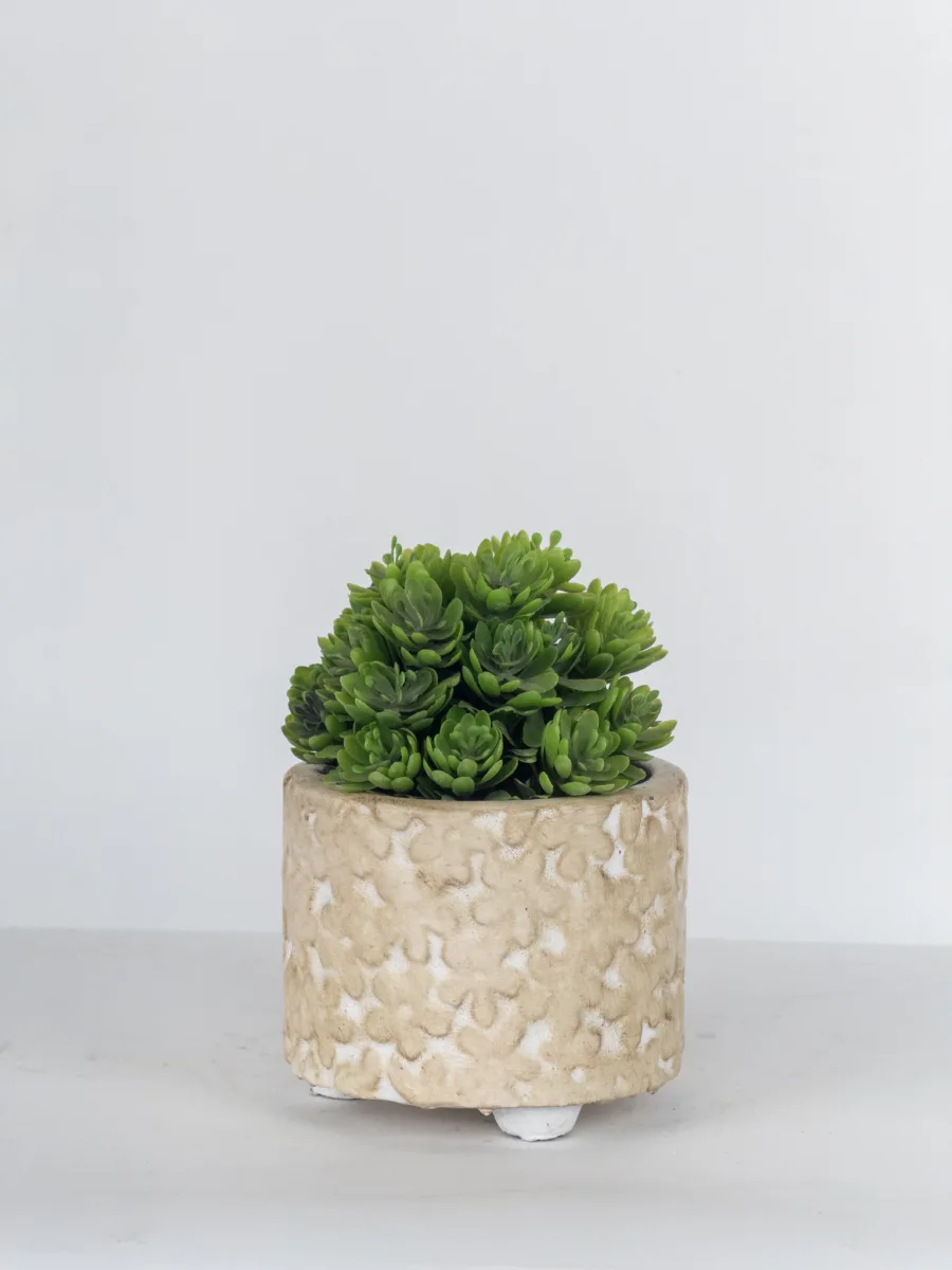 Classic Ceramic Planter — 6.5" Dia × 6.5" Height — Primary View