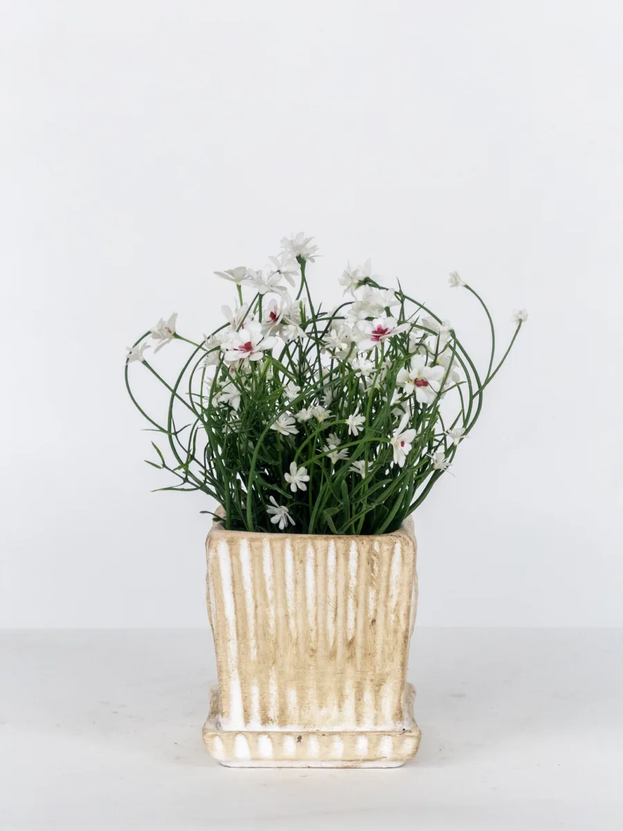 Classic Ceramic Planter — 4.5" Dia × 4" Height — Primary View