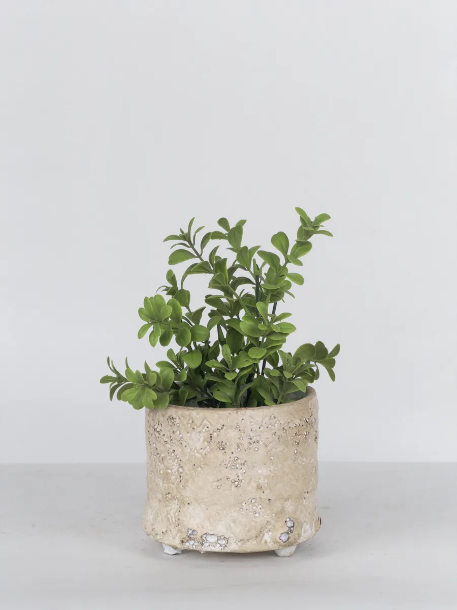 Classic Ceramic Planter — 5" Dia × 4.5" Height — Primary View